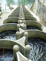 Bitte anklicken! Foto: Gerlinde Knetsch